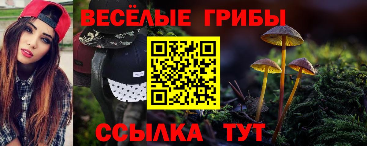 Псилоцибиновые грибы мицелий Кимовск